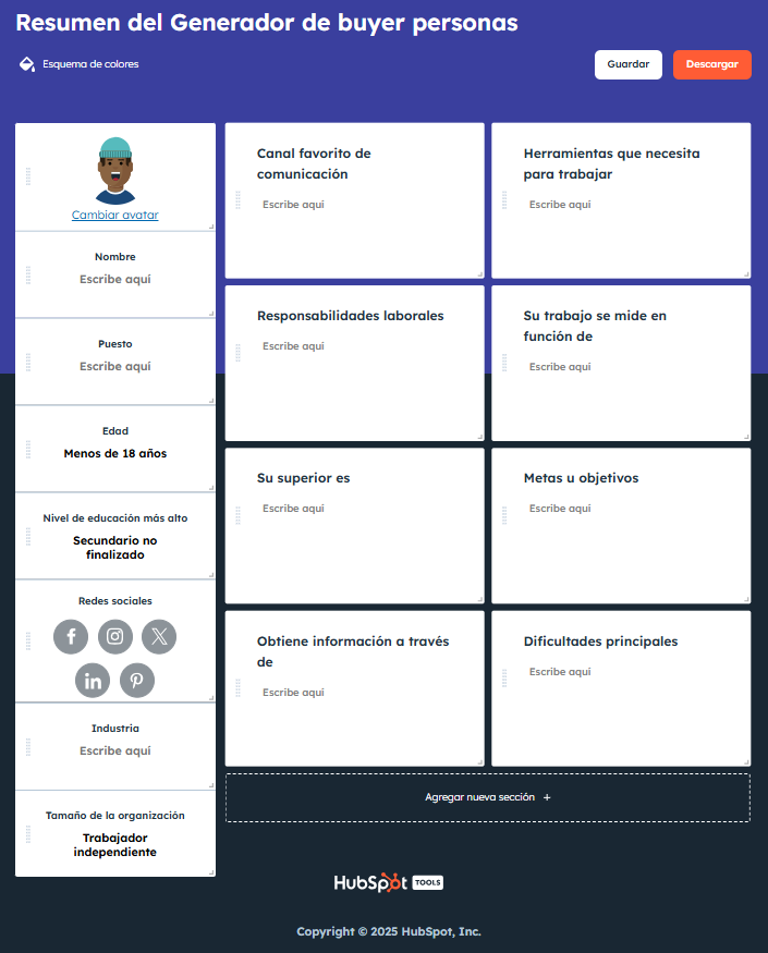 Resumen del Generador de buyer personas - Ejemplo de formato